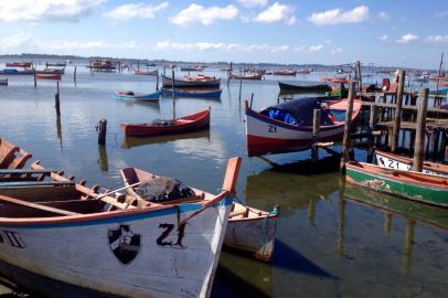 pescadores, Região Sul, safra, camarão, rdgol