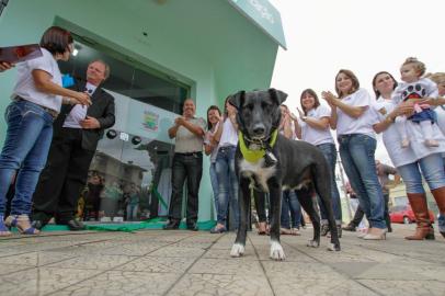 Inaugurada clínica para castração de cães e gatos em São Sepé (24/04)