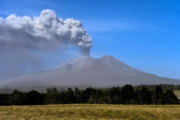 MARTIN BERNETTI / AFP