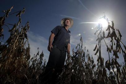  PEDRASALTASs-RS-BR-DATA:20150421Estiagem na região sul do estado, provoca perda na colheita da soja, produção do leite, e do gado de corte.Produtor Nilson Buss, com a seca teve queda na produção na colheita da soja.FOTÓGRAFO:TADEUVILANI DATA:20150423