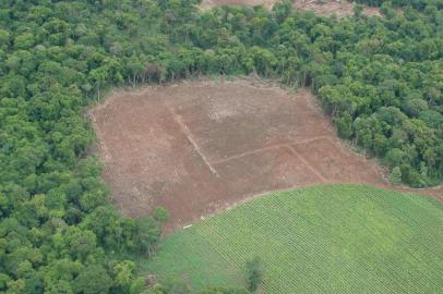  Desmatamentos que estão ocorrendo na porção gaúcha do Bioma Mata Atlântica, mais especificamente na Floresta Estacional Decidual da Serra Geral, municípios de Segredo e Arroio do Tigre.