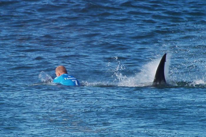 AFP PHOTO / WSL