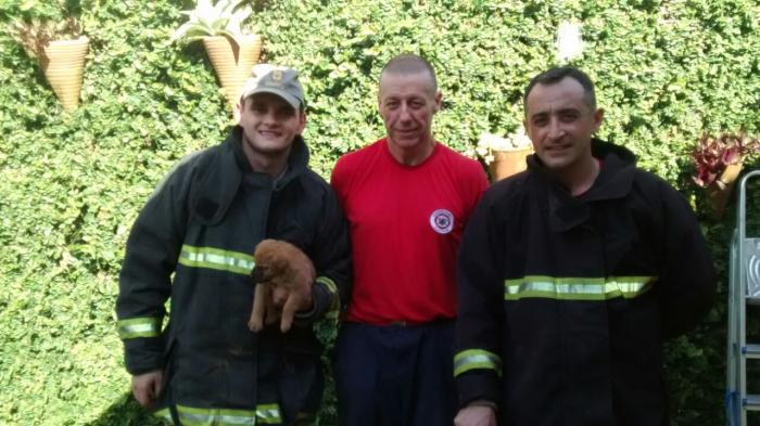 Corpo de Bombeiros de Campo Bom / Divulgação