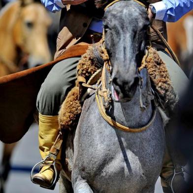  Desfile 20 de Setembro