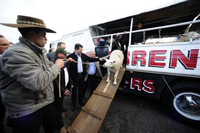  ESTEIO , RS , BRASIL , 24-08-20158 - Primeiros animais inscritos na Expointer chegam ao Parque Assis Brasil. ( FOTO : RONALDO VERBARDI / AGENCIA RBS )