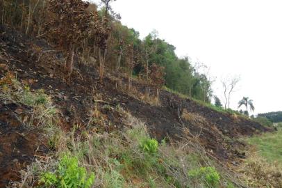 O Ibama fez uma fiscalização em municípios da Região Central entre os dias 17 e 21 de agosto; foram embargados 15 hectares de terras de pequenas propriedades _ áreas de Mata Atlântica que foram desmatadas de forma ilegal; além disso foram feitos 24 autos de infração e aplicados mais de R$ 197 mil em multas; o pior resultado é a verificação de que o desmatamento é crescente nesta região que é considerada pelo Ibama como último remanescente de Mata Atlântica no Estado, causando assoriamento do solo, risco de extinção de espécies da fauna e da flora, entre outros danos ambientais.