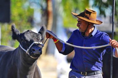  ESTEIO , RS , BRASIL , 31-08-2015- O ingresso de animais para a 38ª Expointer estará prejudicado a partir desta segunda-feira. Fiscais agropecuários, responsáveis pelo controle de entrada e saída de animais, cruzarão os braços entre meio-dia e 18h ao menos até quinta-feira, por causa do parcelamento dos salários dos servidores estaduais.(FOTO : CACO KONZEN / ESPECIAL )