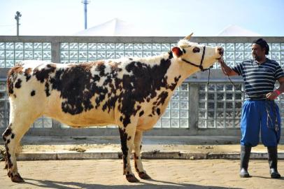  ESTEIO , RS , BRASIL , 31-08-2015- O ingresso de animais para a 38ª Expointer estará prejudicado a partir desta segunda-feira. Fiscais agropecuários, responsáveis pelo controle de entrada e saída de animais, cruzarão os braços entre meio-dia e 18h ao menos até quinta-feira, por causa do parcelamento dos salários dos servidores estaduais.(FOTO : CACO KONZEN / ESPECIAL )