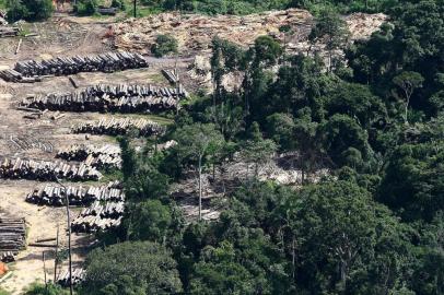 Toras extraídas ilegalmente aguardam processamento em pátio de serraria. Com objetivo de documentar os novos focos de desmatamentos de 2007 divulgados pelo INPE (Instituto Nacional de Pesquisas Espaciais), durante 5 dias o Greenpeace sobrevoou cerca de 8.500 km da região Amazônica entre os estados do Pará, Mato Grosso, Rondônia e Amazonas.O desmatamento que vinha diminuindo desde 2004 aumentou no fim de 2007 devido ao aumento dos commodities agrícolas (soja e gado). Fonte: Folha Imagem Fotógrafo: Rodrigo Baleia