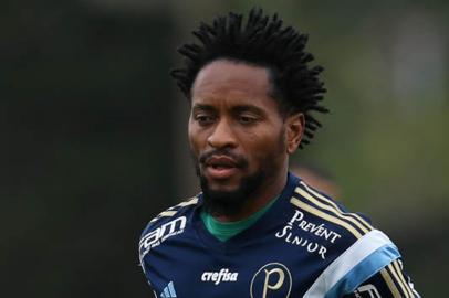 palmeiras, zé roberto, treino, futebol