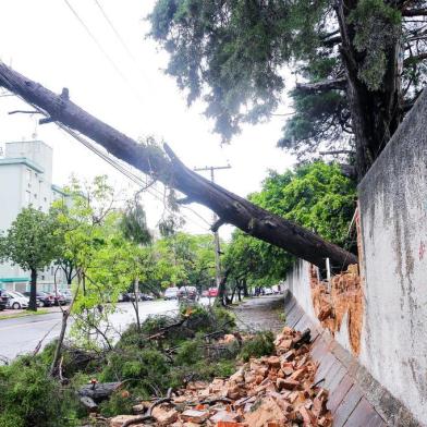  PORTO ALEGRE, RS, BRASIL, 15/10/2015  : Árvores derrubaram muros dos cemitérios da Av. Prof. Oscar Pereira, elas estão sendo seguradas pelos fios da rede elétrica da avenida.  (Omar Freitas/Agência RBS)Indexador: Omar Freitas