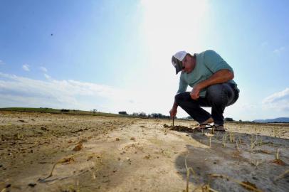  SANTA MARIA, RS, BRASIL, 16-10-2015.Gerson Bianchin, 46 anos, é produtor de arroz em Santa Maria e vive a incerteza quanto à lavoura de arroz. Cerca de 15% da área já foi plantada, mas está demorando a germinar. No restante, a água alta e a previsão de ainda mais chuva preocupa.FOTO: GERMANO RORATO/AGÊNCIA RBS, GERAL