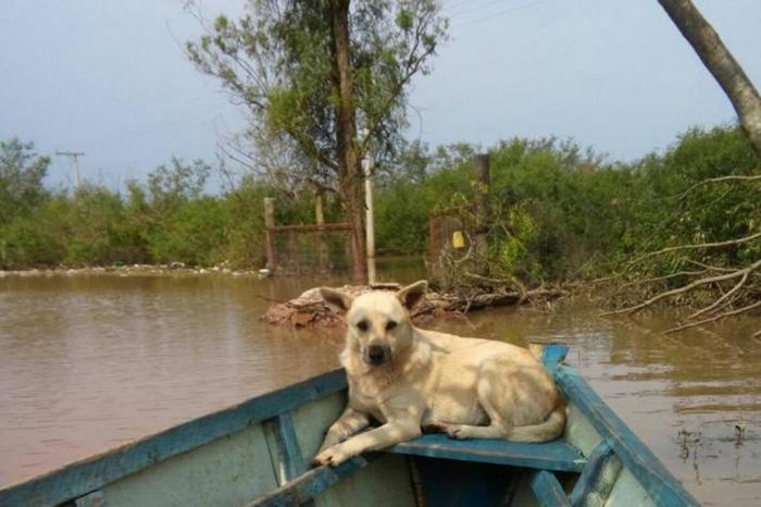 Arquivo pessoal / Arquivo pessoal