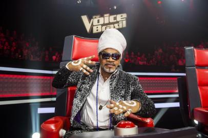 the voice brasil , carlinhos brown, cantor , técnico , dgol