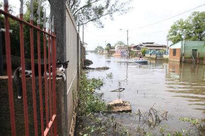  ALVORADA, RS, BRASIL 27/10/2015 - Moradores do Bairro Americana, em Alvorada, estão abandonando as casas por conta das enchentes seguidas. Pelo menos 90 foram abandonadas neste ano.  (FOTO: LAURO ALVES, AGÊNCIA RBS).