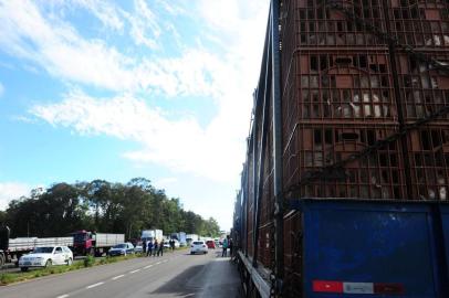  CAXIAS DO SUL, RS, BRASIL, 09/11/2015. Caminhoneiros protestam na ERS-122, em Caxias do Sul, no início da manhã desta segunda-feira. O ato ocorre nas proximidades do Km 68 e do Campus 8 da UCS, no bairro Forqueta, na ligação entre Caxias do Sul e Farroupilha.(Porthus Junior/Pioneiro)