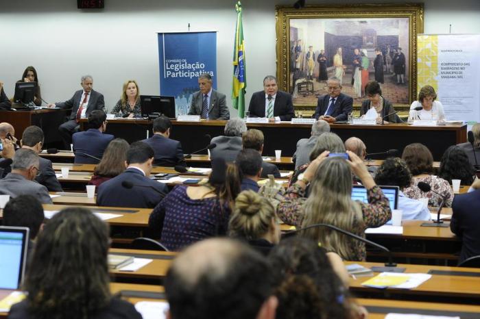 Luis Macedo / Câmara dos Deputados