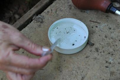  Blumenau-sc-Brasil-12/02/2015 Larvas que podem ser do mosquito  Aedes Aegypti. da dengue. Agente comunitário vai na casa das pessoas para fazer o combate a dengue.