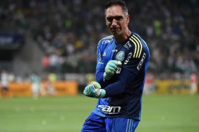 PALMEIRAS X SANTOSSP - COPA DO BRASIL/PALMEIRAS X SANTOS - ESPORTES - O goleiro Fernando Prass, do Palmeiras, em partida contra o Santos,   válida pela decisão da Copa do Brasil 2015, no Allianz Parque, na   zona oeste de São Paulo, na noite desta quarta-feira.   02/12/2015 - Foto: REGINALDO CASTRO/ESTADÃO CONTEÚDOEditoria: ESPORTESLocal: SÃO PAULOIndexador: REGINALDO CASTROFotógrafo: ESTADÃO CONTEÚDO