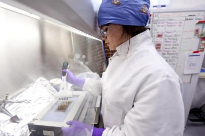 TRANSPLANTS-SMITH-NSPR-111715Gina Mendolia, product development associate at OpenBiome, the first stool bank in the country, which distributes fecal samples from healthy donors to help cure people with tenacious C. difficile infections, in Medford, Mass., Nov. 5, 2015. Fecal microbiota transplantation, a controversial procedure seems to cure some patients of dangerous infections. Now thereâs a simpler option: âpoop in a pill.â (Erik Jacobs/The New York Times)Editoria: ALocal: MEDFORDIndexador: ERIK JACOBSFonte: NYTNSFotógrafo: STR