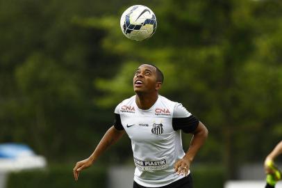 Robinho, Santos