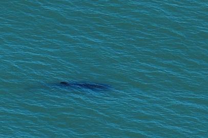  TORRES, RS, BRASIL - 20.01.2016: A ONG Oceano Vivo, em parceria com a Escola de Aviação Voe Realizar, desenvolve voos de monitoramento da vida marinha na região da Ilha dos Lobos, na praia de Torres. (FOTO: BRUNO ALENCASTRO/AGÊNCIA RBS, Editoria Sua Vida)