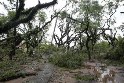  PORTO ALEGRE, RS, BRASIL, 31-01-2016 : Tempestade causou devastação no Parque Marinha do Brasil. (Foto: ANDRÉ ÁVILA/Agência RBS, Notícias)