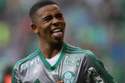 SÃO PAULO, SP - 30.08.2015: PALMERAS X JOINVILLE - O jogador Gabriel Jesus, da SE Palmeiras, comemora seu gol contra a equipe do Joinville EC, durante partida vÃ¡lida pela vigÃ©sima primeira rodada do Campeonato Brasileiro, SÃ©rie A, na Arena Allianz Parque. (Foto: Cesar Greco / Fotoarena)