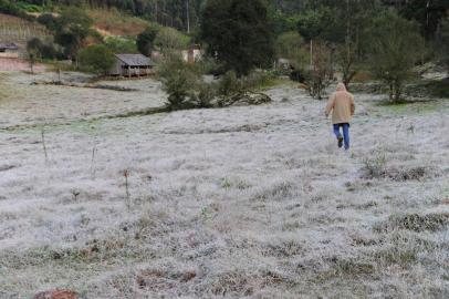  CAXIAS DO SUL, RS, BRASIL (10/06/2016) Geada em caxias do Sul.  Geada na região da 4ª Légua e repolhos congelados. . (Roni Rigon/Pioneiro)