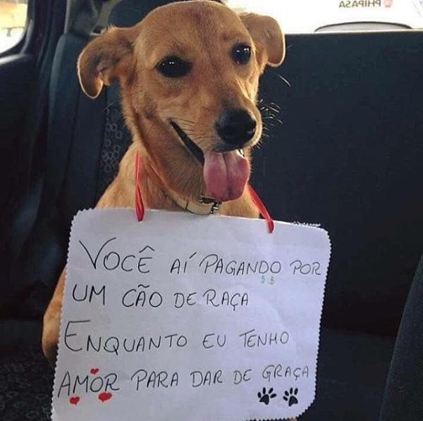 Reprodução / Instagram @amorempatas