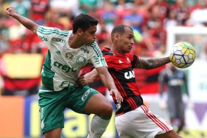 rdgol, flamengo, palmeiras