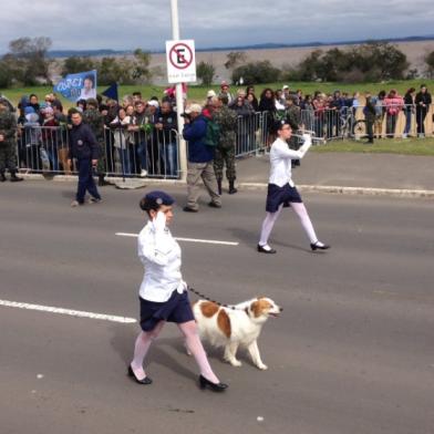 rdgol, desfile, cachorro, porto alegre