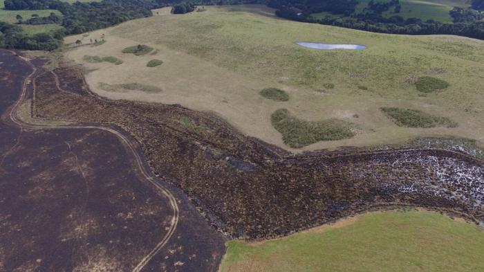 Comando Ambiental da Brigada Militar