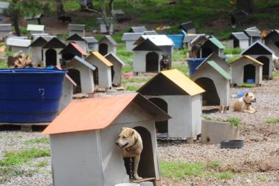  

CAXIAS DO SUL, RS, BRASIL (24/10/2016) Soama 2016 recebe atenção da SEMMA. Titular da pasta, Edivandor Rech, relata os investimentos para melhorar o ambiente dos cães.   (Roni Rigon/Pioneiro).