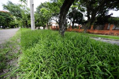 Capina malfeita na avenida Tramandaí, bairro Ipanema, Zona Sul de Porto Alegre