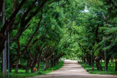  PORTO ALEGRE, RS, BRASIL,26/01/2017 : Marinha -  Parques de POA, um ano depois da tempestade. (Omar Freitas/Agência RBS)Indexador: Omar Freitas