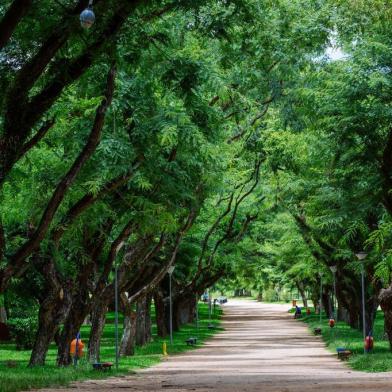  PORTO ALEGRE, RS, BRASIL,26/01/2017 : Marinha -  Parques de POA, um ano depois da tempestade. (Omar Freitas/Agência RBS)Indexador: Omar Freitas