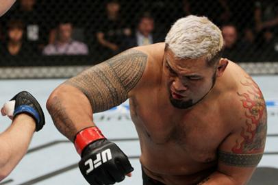 mark hunt, ufc