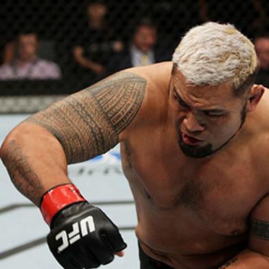 mark hunt, ufc