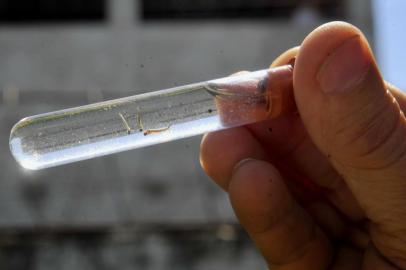  SANTA MARIA, RS, BRASIL, 28-01-2016.Mapeamento dos bairros com maior incidência do mosquito Aedes aegypti. Exército ajuda agendes de saúde a preparar mutirão contra o mosquito no bairro Nossa Senhora de Lourdes.FOTO: GERMANO RORATO/AGÊNCIA RBS, GERALIndexador: GERMANO RORATO