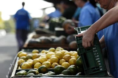  Pesquisa de preços. Na foto feira do agricultor no bairro São Leopoldo, em Caxias do Sul.