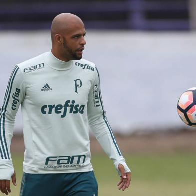 felipe melo, treino, palmeiras, futebol