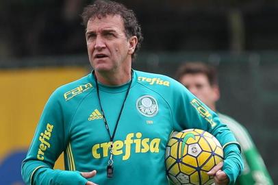 Cuca, Palmeiras, treinador