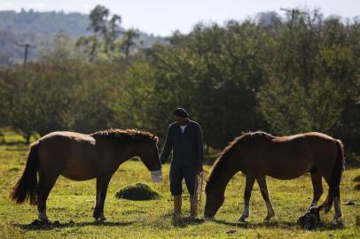  PORTO ALEGRE, RS, BRASIL, 19-05-2017: O cuidador Denísio Pires Correa com dois cavalos cegos no abrigo para animais de grande porte da EPTC, no bairro Lami. No local, cavalos vítimas de maus tratos recolhidos da rua pela EPTC recebem cuidados. Após se recuperar e estar em boas condições, os animais ficam disponíveis para adoção. (Foto: Mateus Bruxel / Agência RBS)