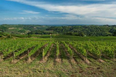  Cave Geisse. GUIA DO VINHO.