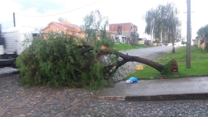 Divulgação / Defesa Civil São Gabriel