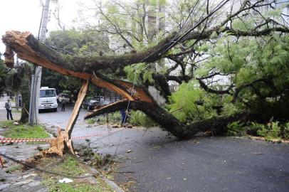  

PORTO ALEGRE, RS, BRASIL - Vento forte provoca queda de árvores, bloqueia vias e deixa uma pessoa ferida em Porto Alegre. Rua Eça de Queiroz (FOTO: RONALDO BERNARDI/AGÊNCIA)