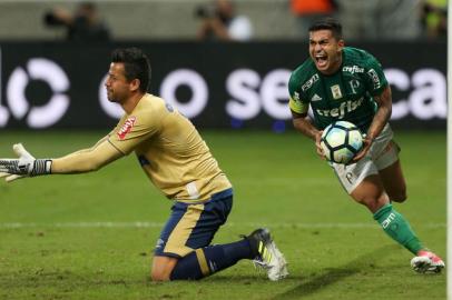 O jogador Dudu, da SE Palmeiras, comemora gol de Willian, contra a equipe do Cruzeiro EC, durante partida vÃ¡lida pelas quartas de final (ida), da Copa do Brasil, na Arena Allianz Parque.