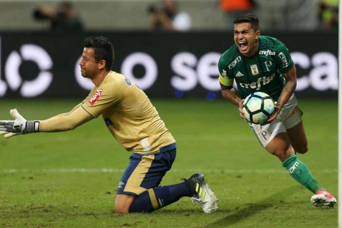 Cesar Greco / Palmeiras,Divulgação