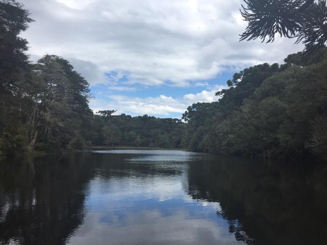 Rosane Tremea / Arquivo pessoal